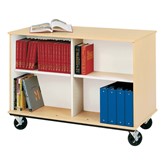 Double-Sided Book Truck